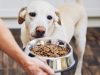 Perfecte paren voor droog hondenvoer